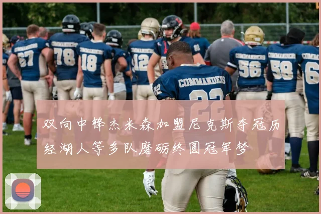 双向中锋杰米森加盟尼克斯夺冠历经湖人等多队磨砺终圆冠军梦