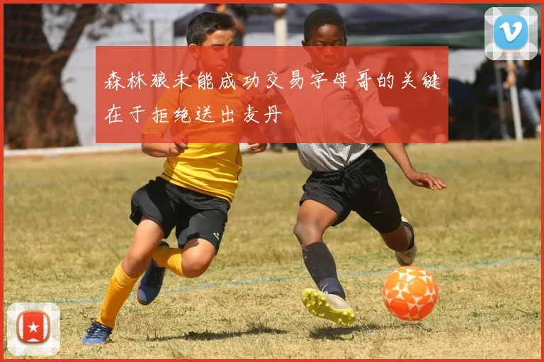 森林狼未能成功交易字母哥的关键在于拒绝送出麦丹