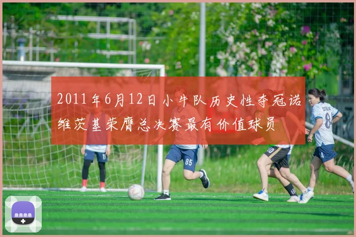 2011年6月12日小牛队历史性夺冠诺维茨基荣膺总决赛最有价值球员