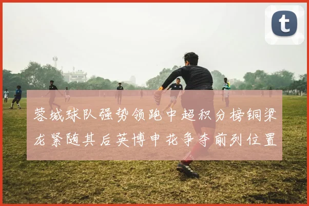 蓉城球队强势领跑中超积分榜铜梁龙紧随其后英博申花争夺前列位置
